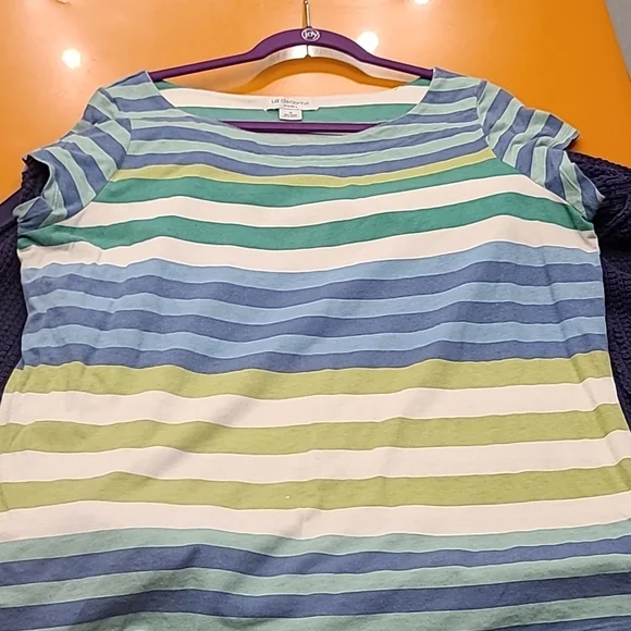 Liz Claiborne Woman sweater & shirt set - Picture 5 of 7